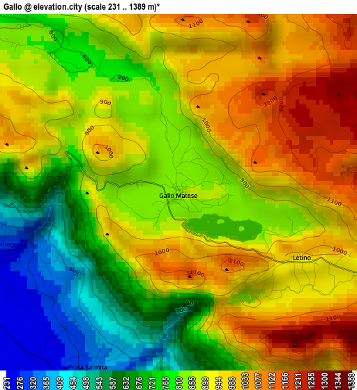 Gallo elevation map