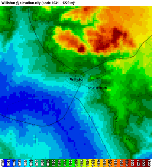 Williston elevation map