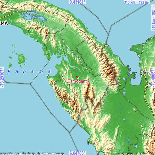 Topographic map of Camogantí