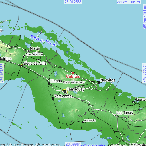 Topographic map of Cubitas