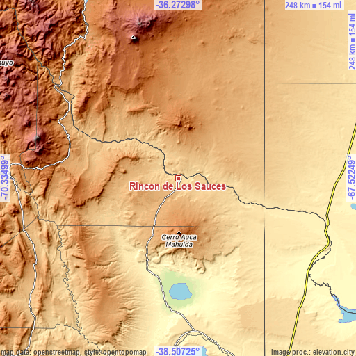 Topographic map of Rincón de Los Sauces
