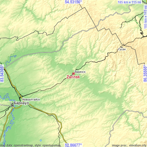 Topographic map of Zarinsk