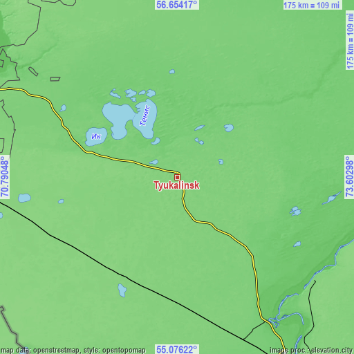 Topographic map of Tyukalinsk