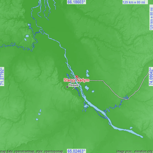 Topographic map of Staryy Nadym