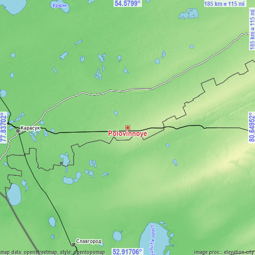 Topographic map of Polovinnoye