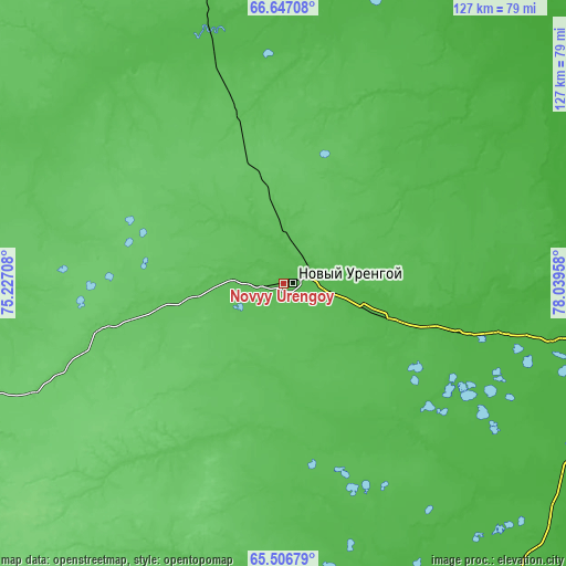 Topographic map of Novyy Urengoy