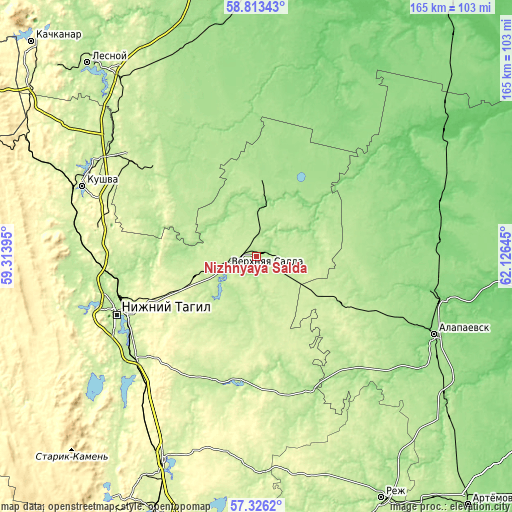 Topographic map of Nizhnyaya Salda