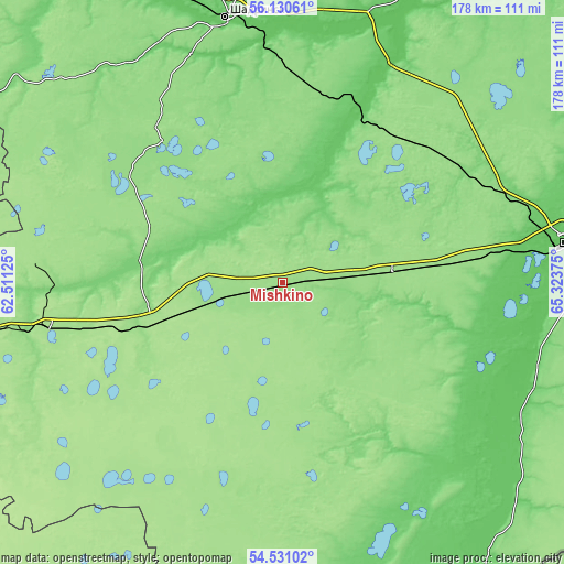 Topographic map of Mishkino