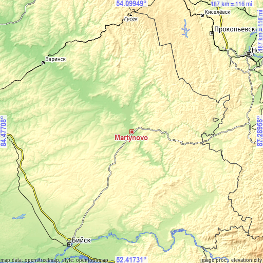 Topographic map of Martynovo