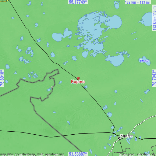 Topographic map of Kupino