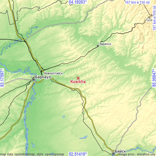 Topographic map of Kosikha