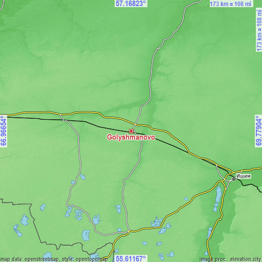 Topographic map of Golyshmanovo