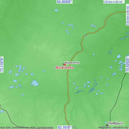 Topographic map of Muravlenko