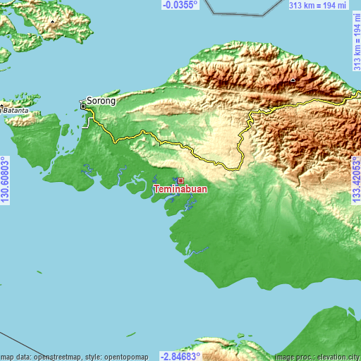 Topographic map of Teminabuan