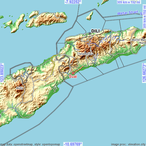 Topographic map of Suai