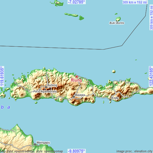 Topographic map of Riung