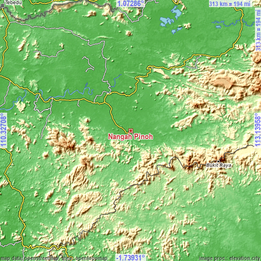 Topographic map of Nangah Pinoh