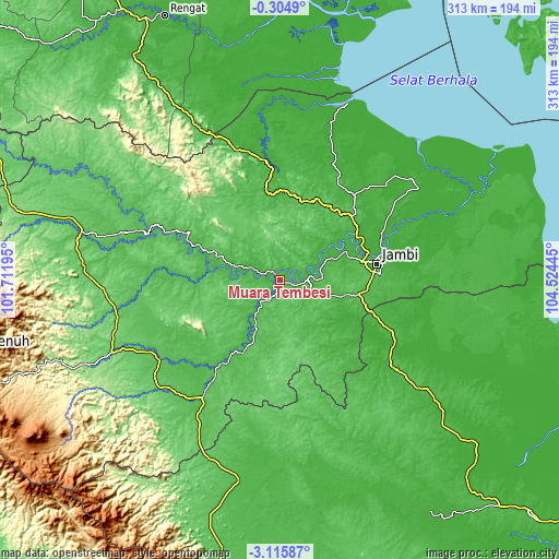 Topographic map of Muara Tembesi