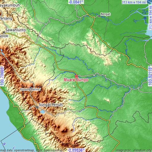 Topographic map of Muara Bungo