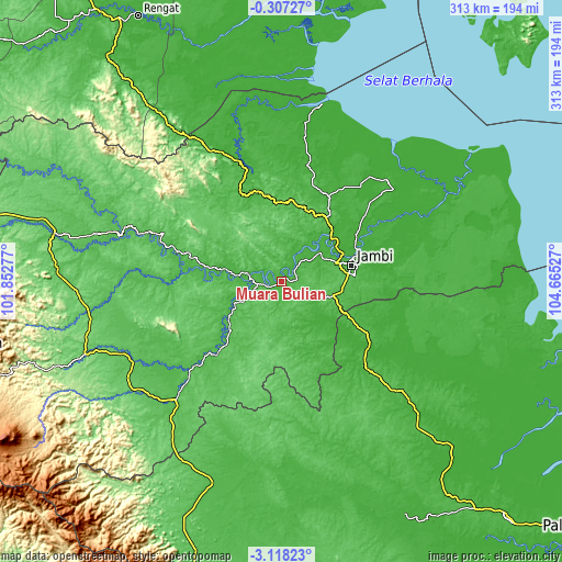 Topographic map of Muara Bulian