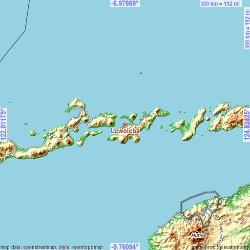 Topographic map of Lewoleba