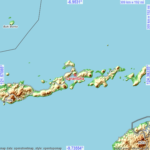 Topographic map of Larantuka