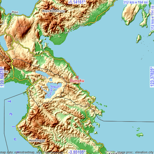 Topographic map of Bungku
