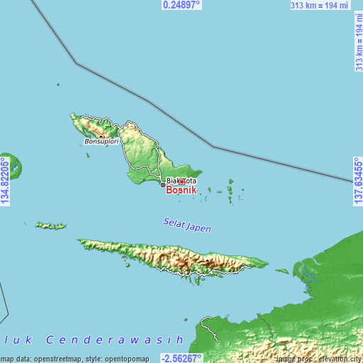 Topographic map of Bosnik