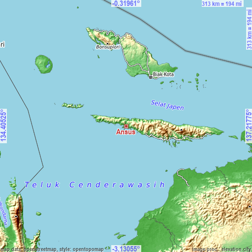 Topographic map of Ansus