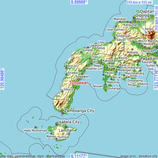 Topographic map of Tungawan