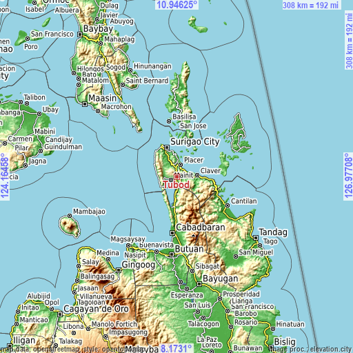 Topographic map of Tubod