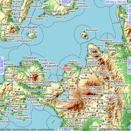 Topographic map of Tubigan