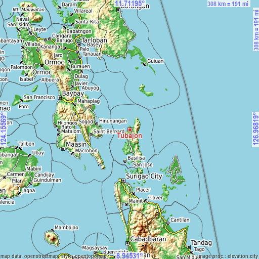 Topographic map of Tubajon