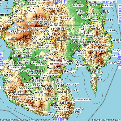 Topographic map of Tamayong