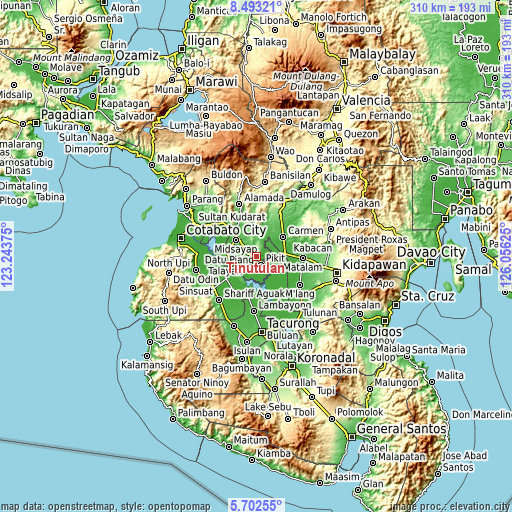 Topographic map of Tinutulan