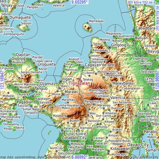 Topographic map of Tignapalan