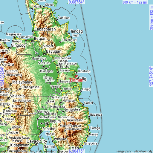 Topographic map of Tidman