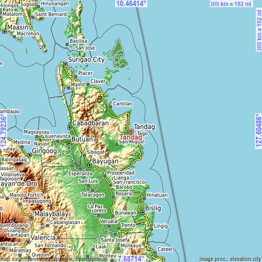 Topographic map of Tandag