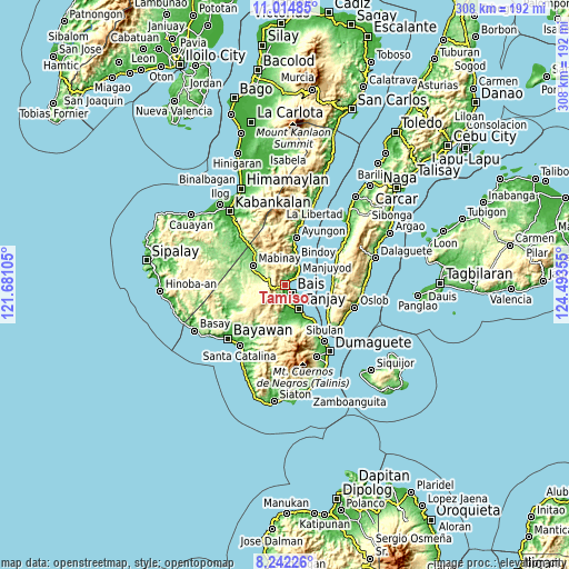 Topographic map of Tamiso