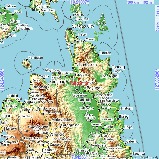 Topographic map of Taligaman