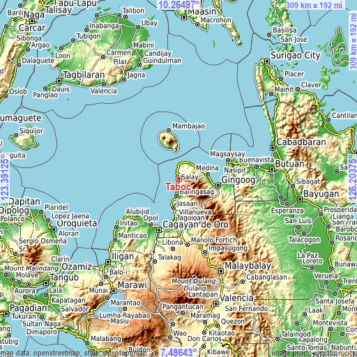 Topographic map of Taboc