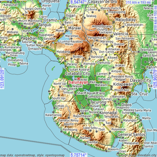 Topographic map of Salunayan