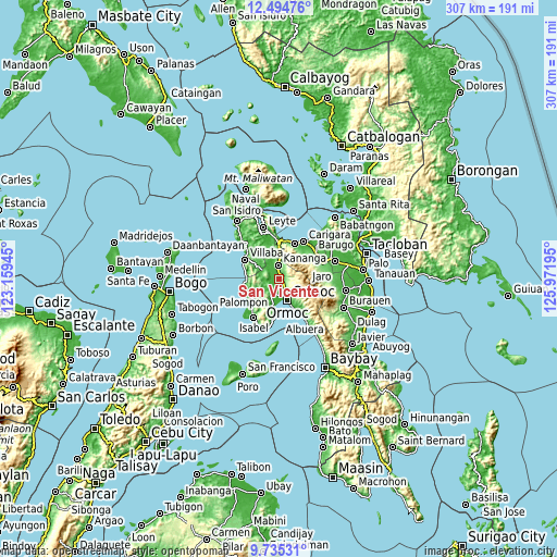 Topographic map of San Vicente