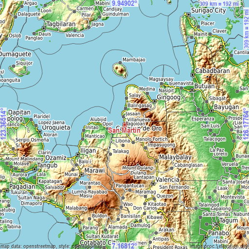 Topographic map of San Martin