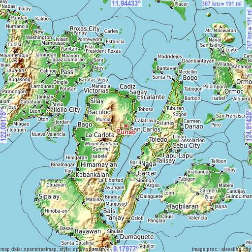 Topographic map of Punao