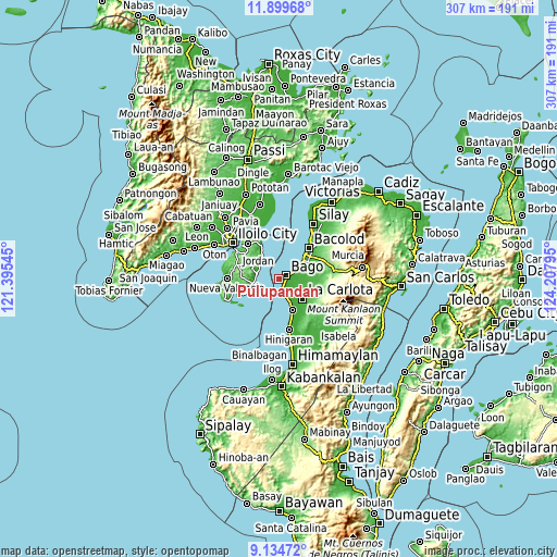 Topographic map of Pulupandan