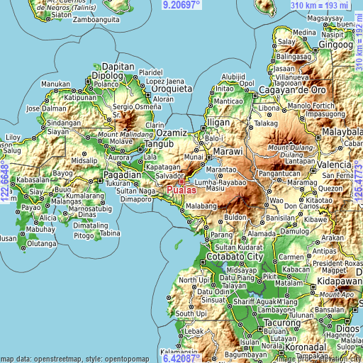 Topographic map of Pualas