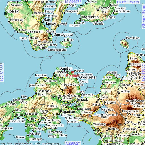 Topographic map of Plaridel