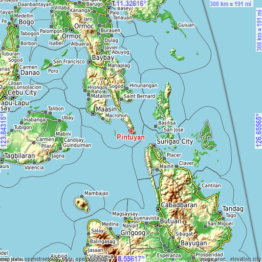 Topographic map of Pintuyan