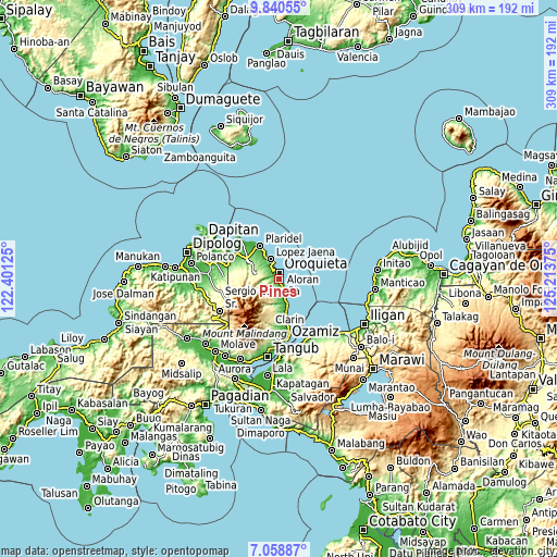 Topographic map of Pines